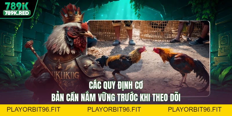 Đá Gà Cựa Sắt - Khí Phách Anh Hùng, Tưng Bừng Thắng Lợi