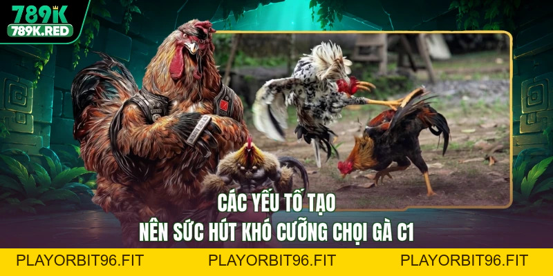 Đá Gà C1 - Đấu Trường Vang Danh, Tranh Tài Xưng Bá