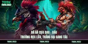 789k ⭐️ Truy Cập playorbit96.fit T10/2026 | Vào Sảnh +88K