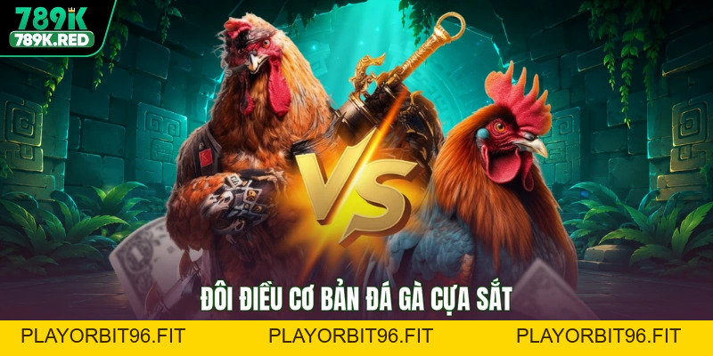 Đá Gà Cựa Sắt - Khí Phách Anh Hùng, Tưng Bừng Thắng Lợi
