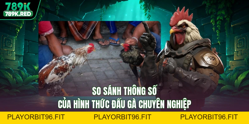 Đá Gà Cựa Sắt - Khí Phách Anh Hùng, Tưng Bừng Thắng Lợi