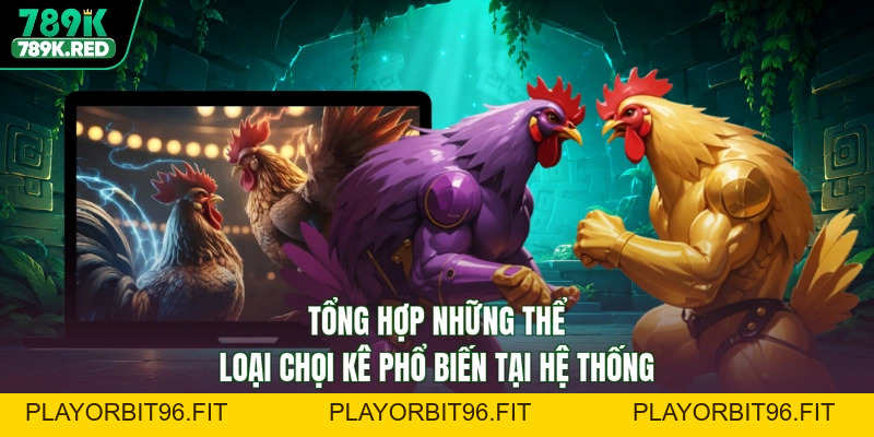 Đá gà 789K - Sôi Động Đấu Trường, Vươn Tầm Chiến Thắng
